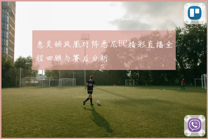 惠灵顿凤凰对阵悉尼FC精彩直播全程回顾与赛后分析