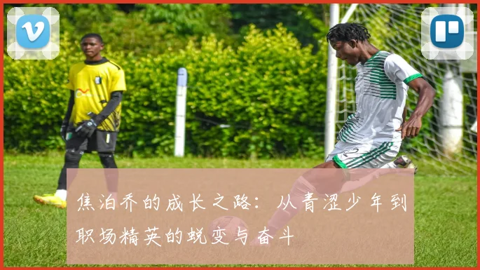 焦泊乔的成长之路：从青涩少年到职场精英的蜕变与奋斗
