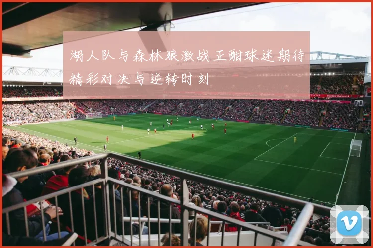 湖人队与森林狼激战正酣球迷期待精彩对决与逆转时刻