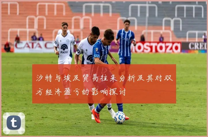 沙特与埃及贸易往来分析及其对双方经济盈亏的影响探讨