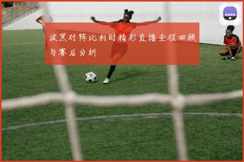 波黑对阵比利时精彩直播全程回顾与赛后分析